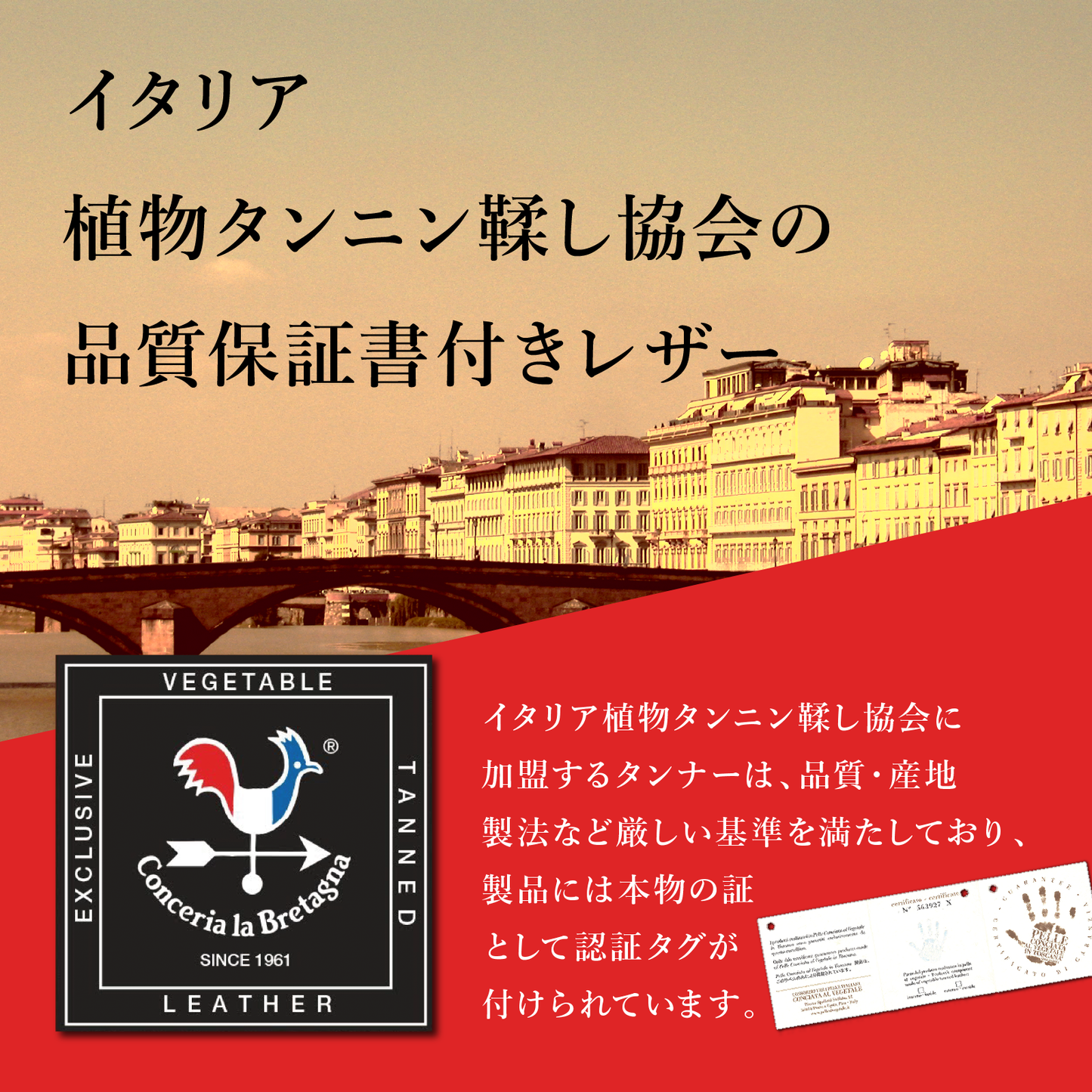 ペコスハードレザーベルト サイズ調整OK ビジネス 本革 レザー 紳士 メンズ プレゼント 祝い